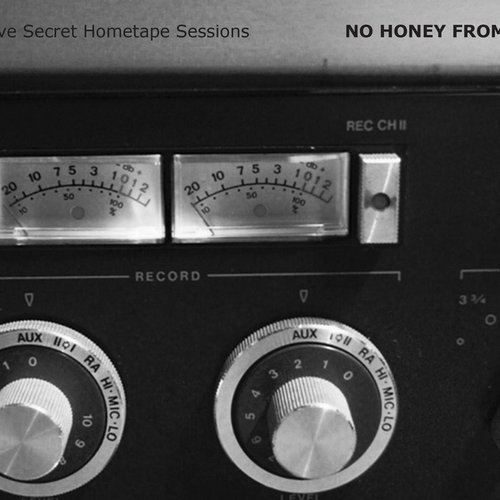 The Twelve Secret Hometape Sessions