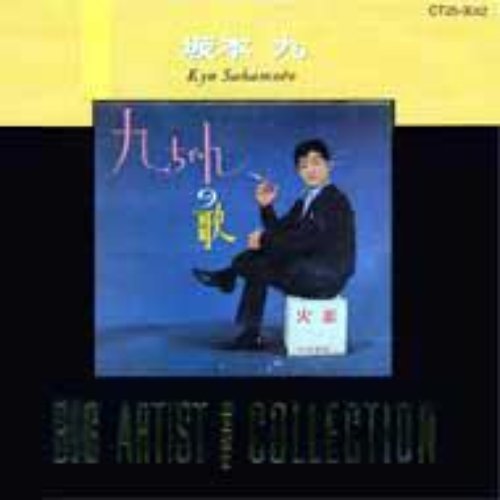 Big Artist Best Collection