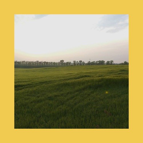 Blossom EP