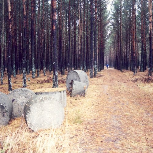 Seismic Data: Kyiv, Ukraine, February 24, 2022