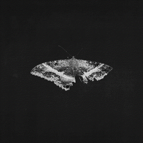 To Pimp A Butterfly (10 Year Anniversary Edition)