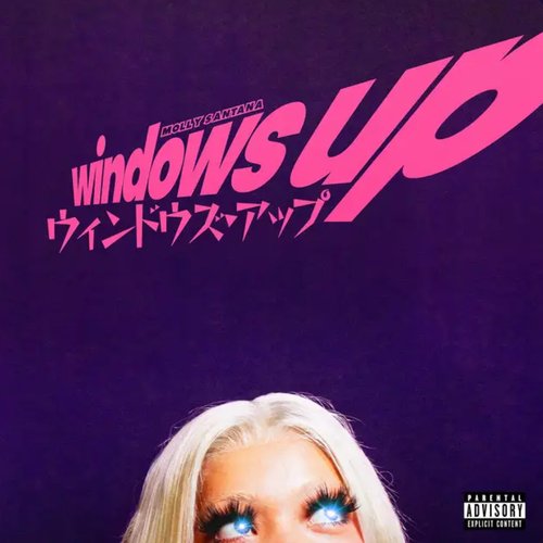 Windows Up