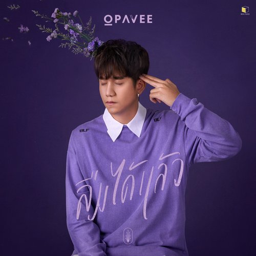 ลืมได้แล้ว - Single