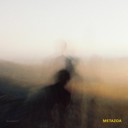Metazoa
