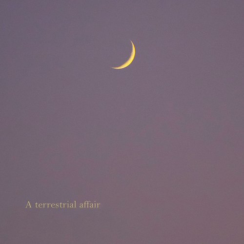 A Terrestrial Affair