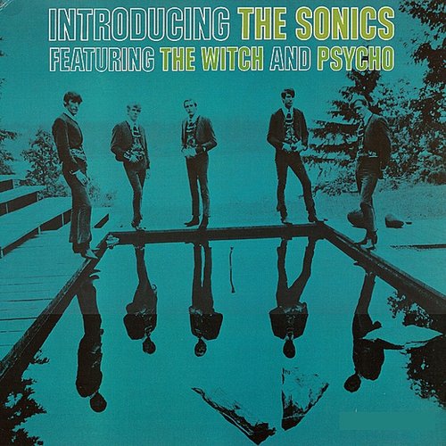 Introducing The Sonics