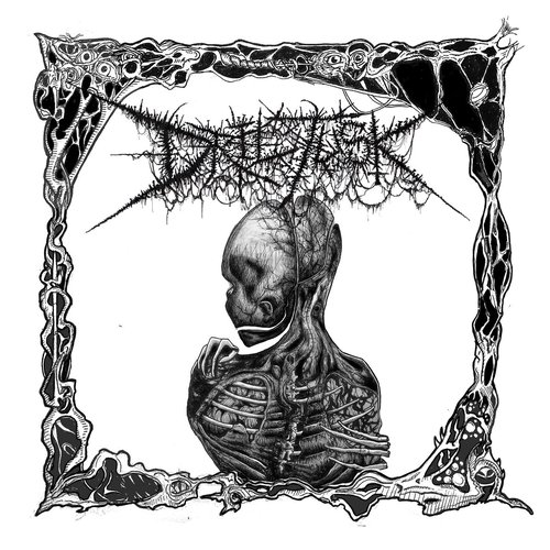 Mortal Reminder (Live @ Milkboy) - Single
