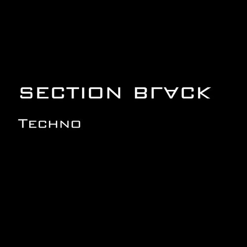 Section Black