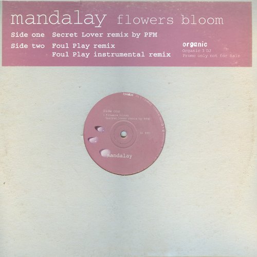 Flowers Bloom (remixes)