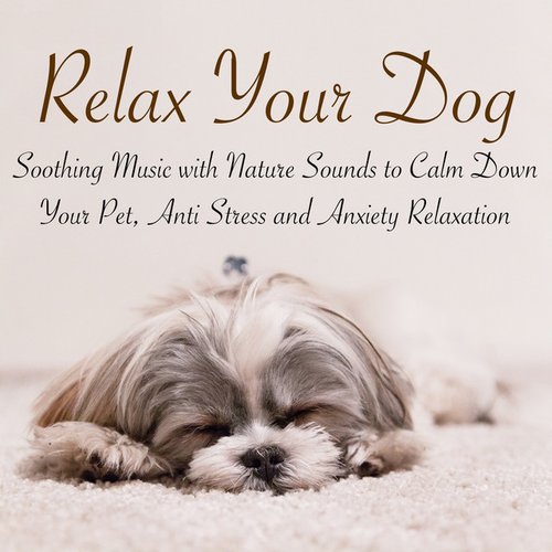 Relax Your Dog – Soothing Music with Nature Sounds to Calm Down Your Pet, Anti Stress and Anxiety Relaxation