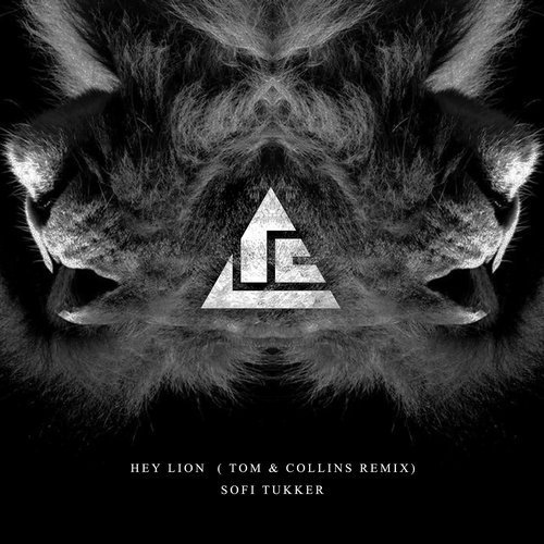 Hey Lion (Tom & Collins Remix)