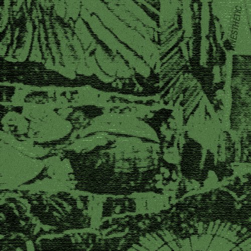 Anesthetic