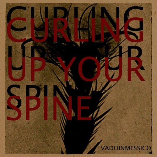 Curling Up Your Spine