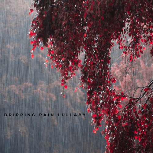 Dripping Rain Lullaby