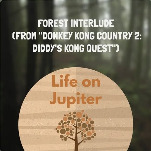 Forest Interlude (From "Donkey Kong Country 2: Diddy's Kong Quest)