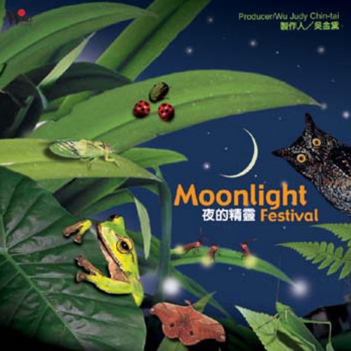 夜的精靈