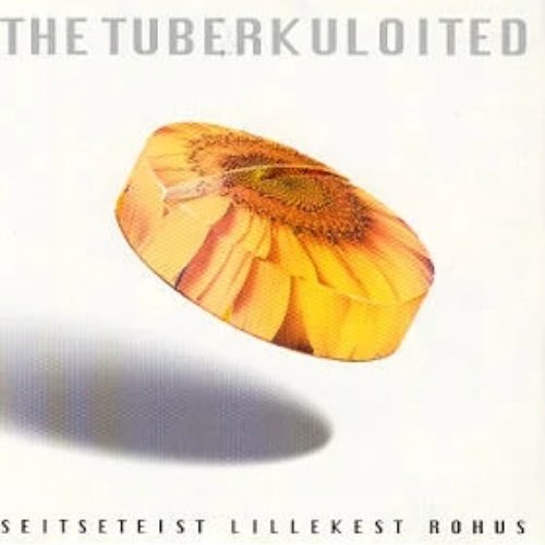 17 lillekest rohus