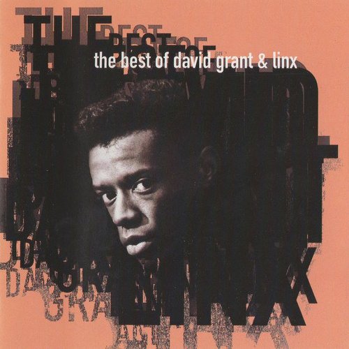 The Best Of David Grant & Linx