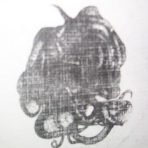 Tapeworm