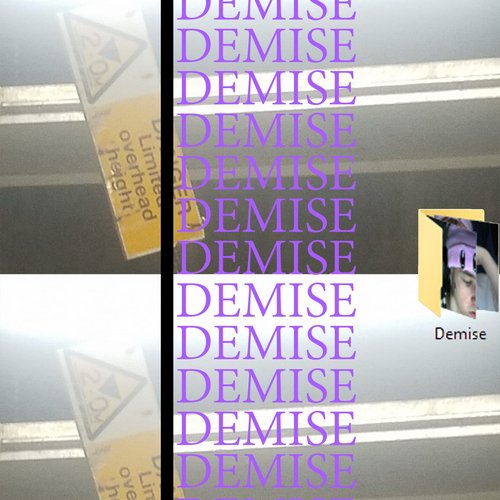 Demise