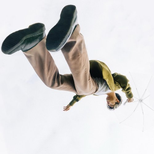 ICARUS