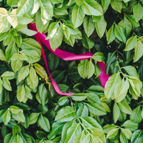 A Cleaner Sinner - Single