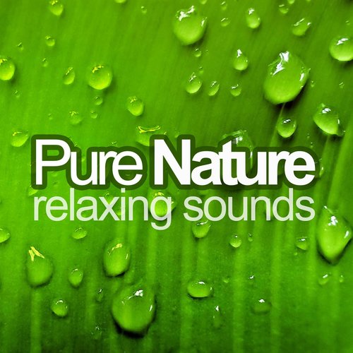 Relaxing Music and Nature Sounds (Floating Melodies, Soothing Harmonies and the Gentle Rhythms of Nature to Create a Peaceful State of Mind)