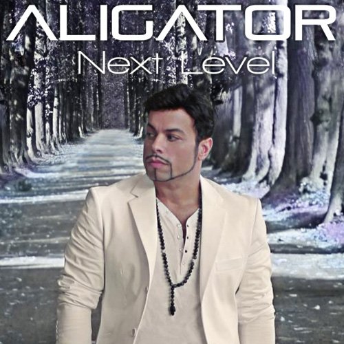 Next Level