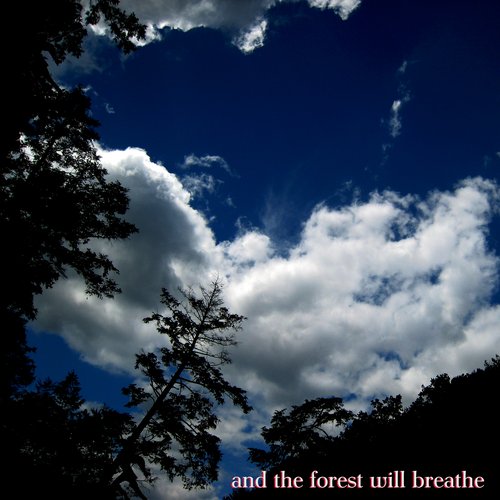 And The Forest Will Breathe