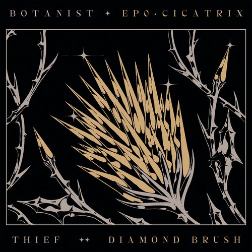 Cicatrix / Diamond Brush (Botanist / Thief Split)