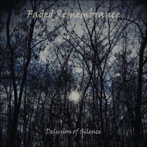 Delusion of Silence