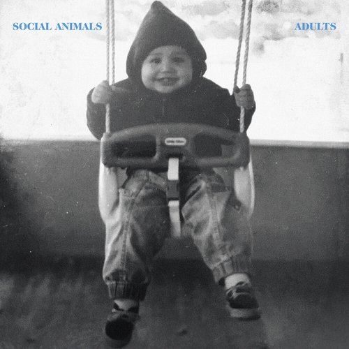 Adults - Single