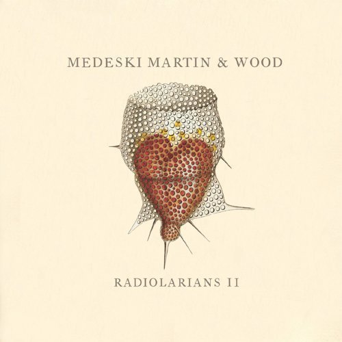 Radiolarians II