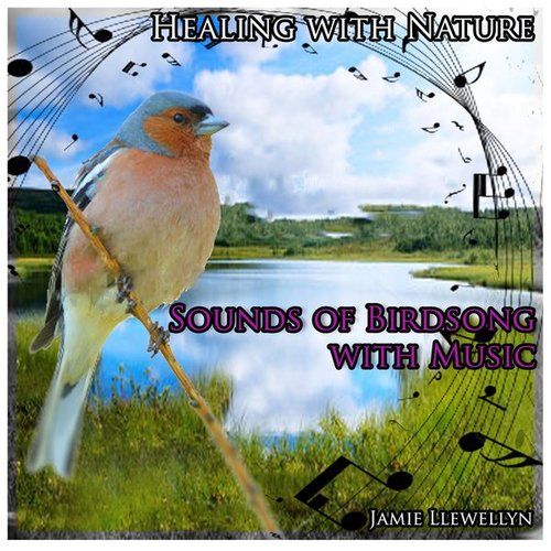 Healing with Nature: Sounds of Birdsong with Music
