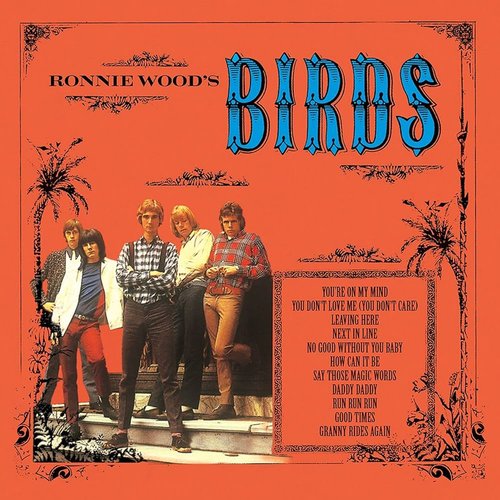Birds (Ronnie Wood's Birds)