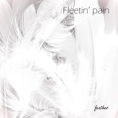 feather