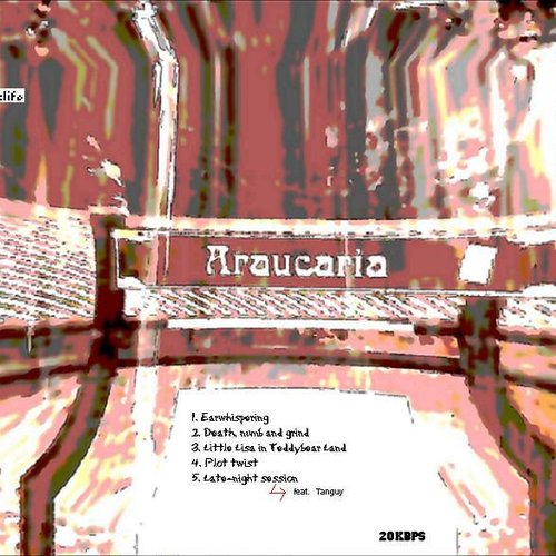 Araucaria