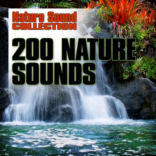200 Nature Sounds