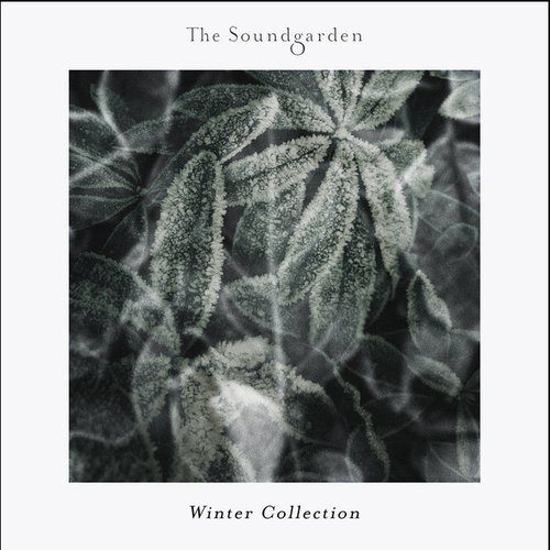 Winter Collection