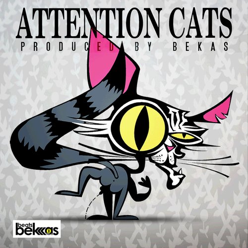 Attention Cats