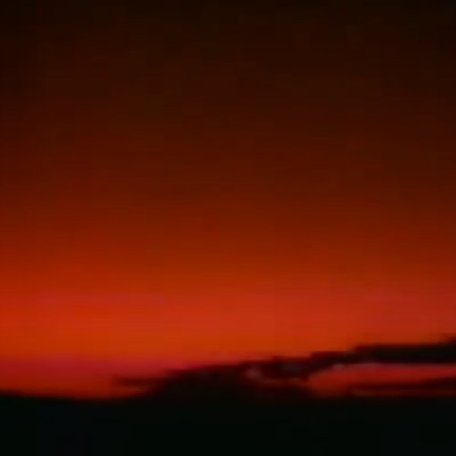 仮想夢世の中