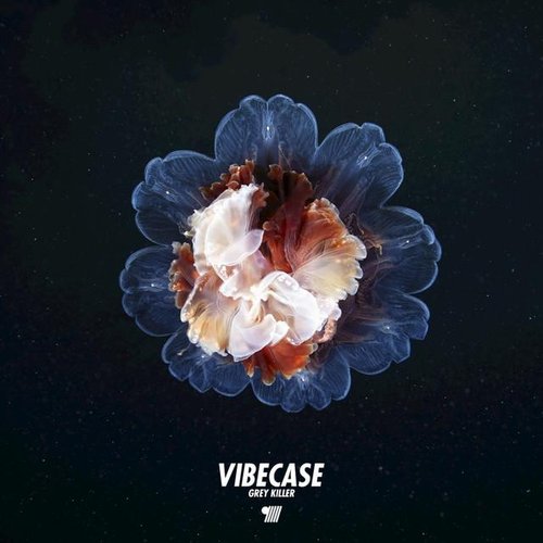 VIBECASE