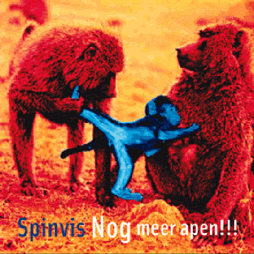 Nog meer apen!!!