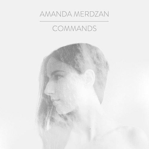 Commands