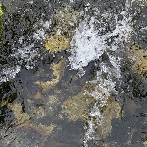 SPILLED (Motorized)