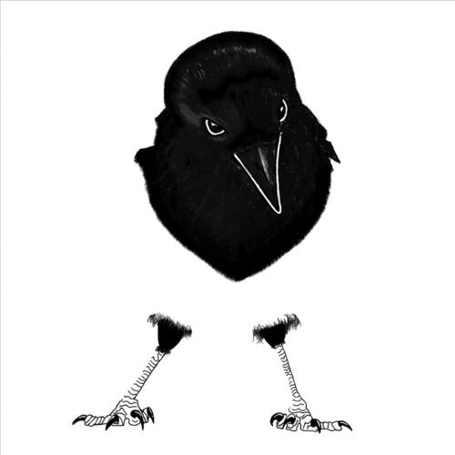 Carpet Dime - Single