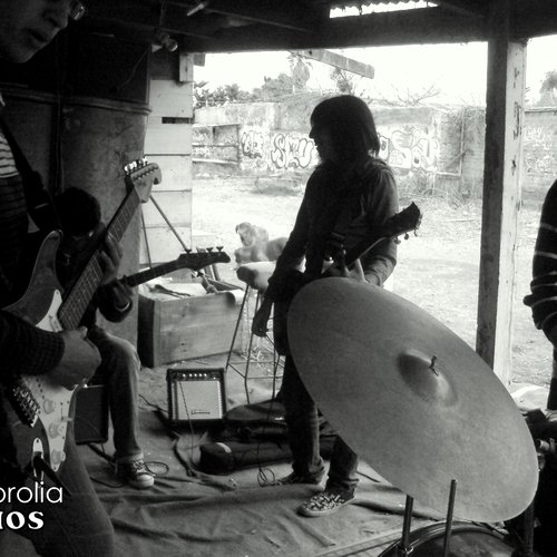 Psicorolia Demo