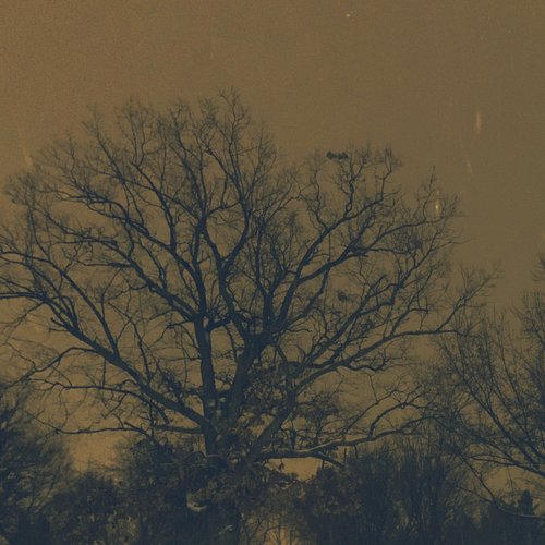Ghost Adjacent