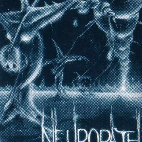 Desert of Excruciation