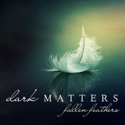 Fallen Feathers